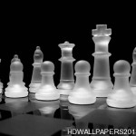 Animated Chess Free Download