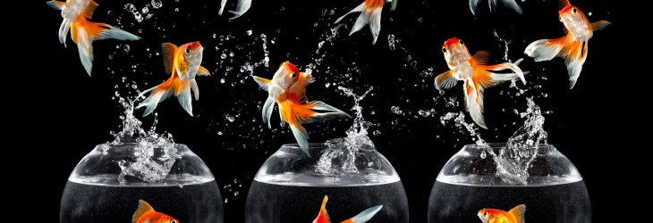 aquarium-wallpaper