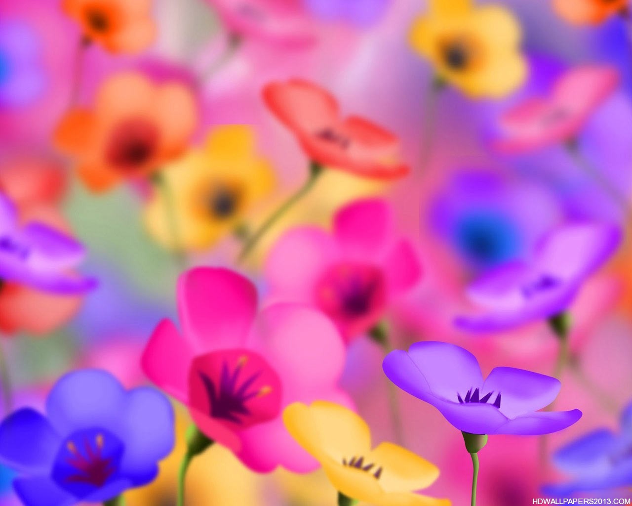 Flower Wallpaper Backgrounds | High Definition Wallpapers, High 
