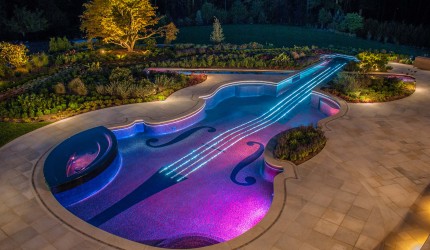 Violin Shaped Swimming Pool