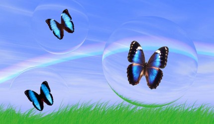 3D Butterfly Wallpaper