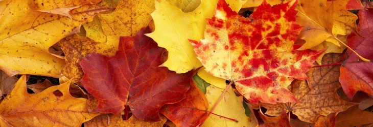 fall-wallpaper-pictures