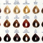 Loreal Hair Colour Chart