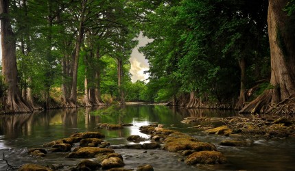 Beautiful Secluded River