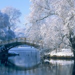 Snow Covered Scenery